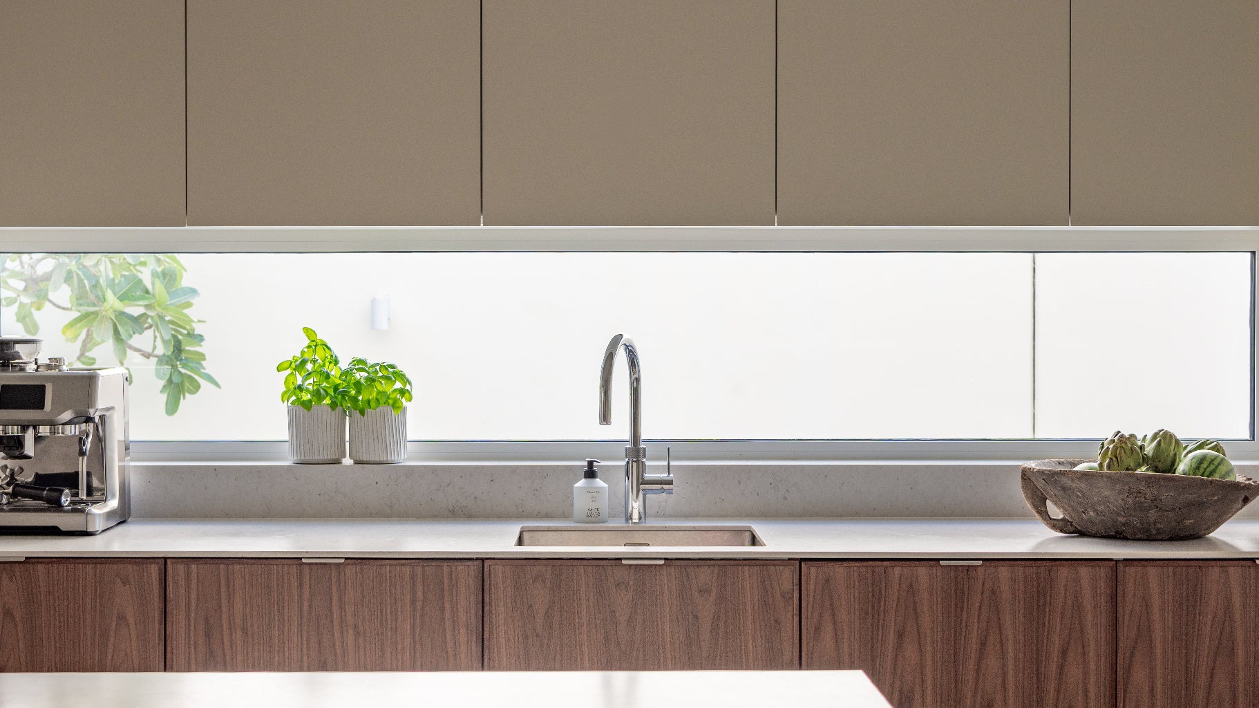 Unlock Natural Beauty: The New Walnut Collection