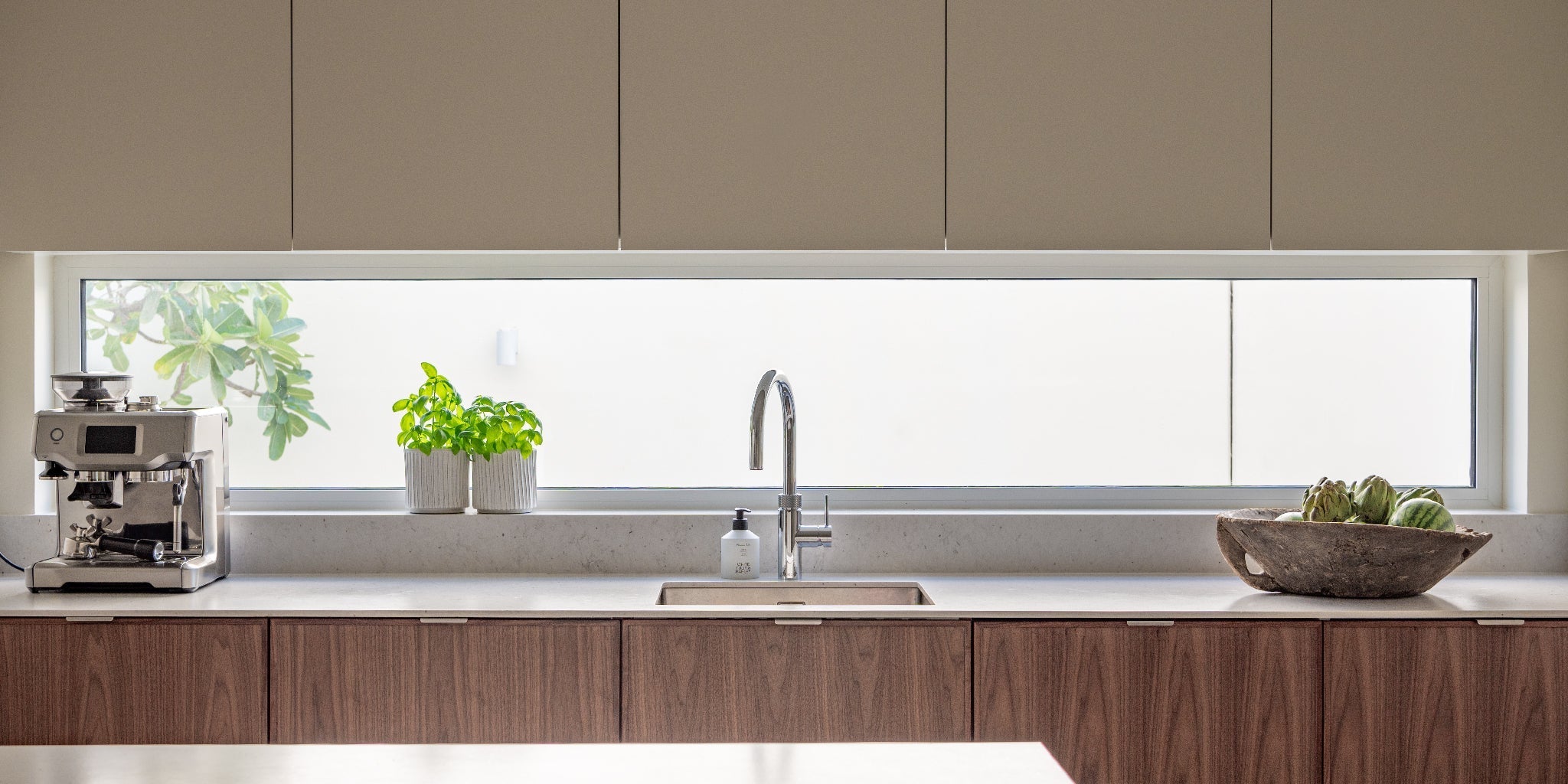 Unlock Natural Beauty: The New Walnut Collection